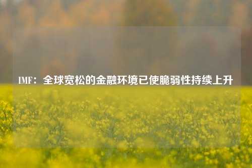 IMF：全球宽松的金融环境已使脆弱性持续上升