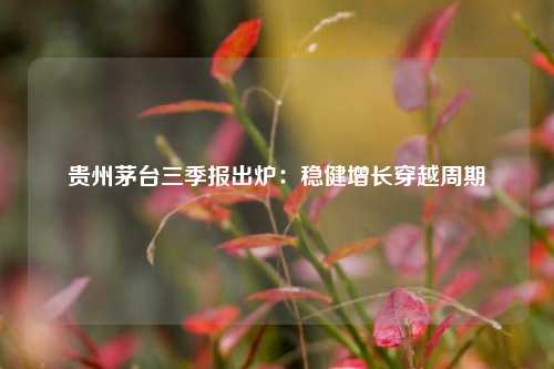 贵州茅台三季报出炉：稳健增长穿越周期