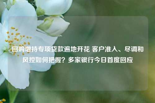 回购增持专项贷款遍地开花 客户准入、尽调和风控如何把握？多家银行今日首度回应