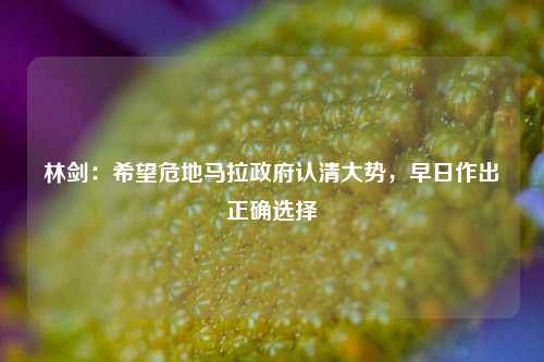 林剑：希望危地马拉政府认清大势，早日作出正确选择