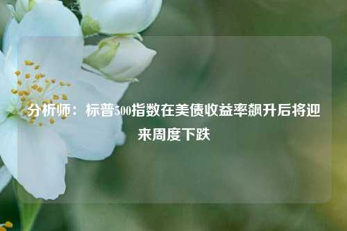 分析师：标普500指数在美债收益率飙升后将迎来周度下跌