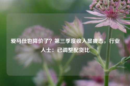 爱马仕也降价了？第三季度收入显疲态，行业人士：已调整配货比