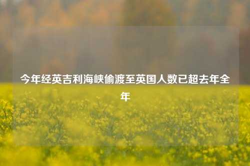 今年经英吉利海峡偷渡至英国人数已超去年全年