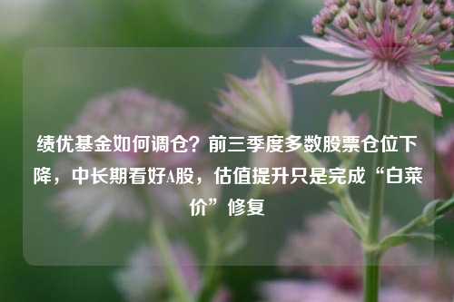 绩优基金如何调仓？前三季度多数股票仓位下降，中长期看好A股，估值提升只是完成“白菜价”修复