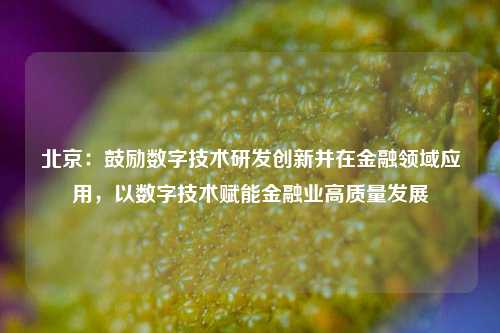 北京：鼓励数字技术研发创新并在金融领域应用，以数字技术赋能金融业高质量发展