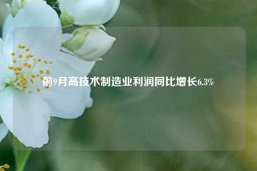 前9月高技术制造业利润同比增长6.3%