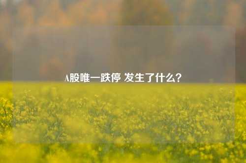 A股唯一跌停 发生了什么？