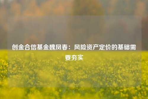 创金合信基金魏凤春：风险资产定价的基础需要夯实