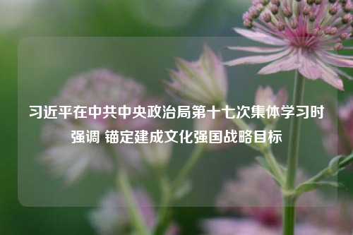 习近平在中共中央政治局第十七次集体学习时强调 锚定建成文化强国战略目标