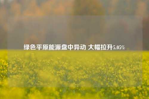 绿色平原能源盘中异动 大幅拉升5.05%