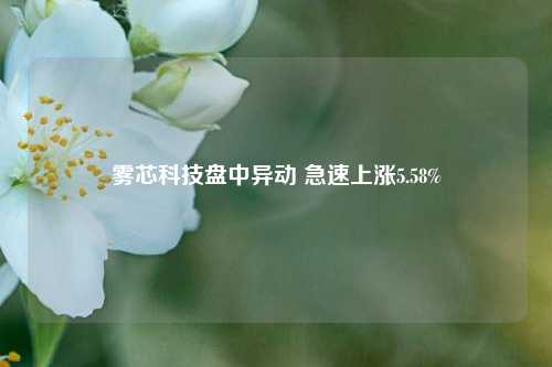 雾芯科技盘中异动 急速上涨5.58%