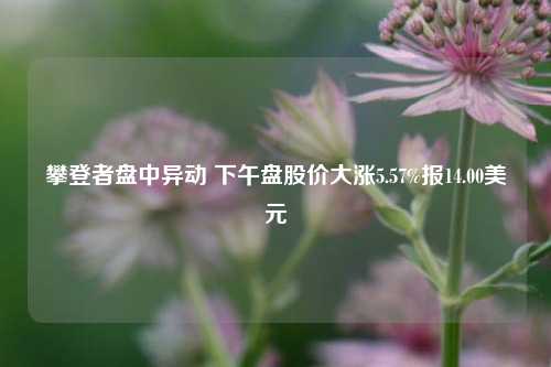 攀登者盘中异动 下午盘股价大涨5.57%报14.00美元