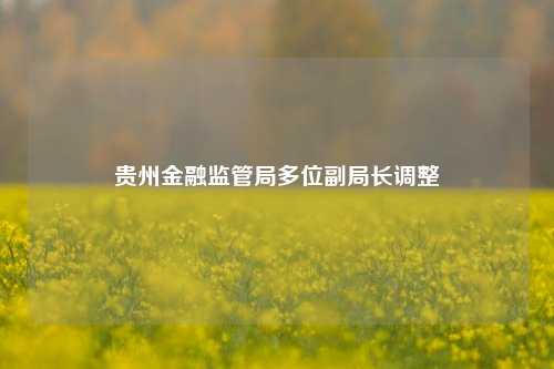 贵州金融监管局多位副局长调整