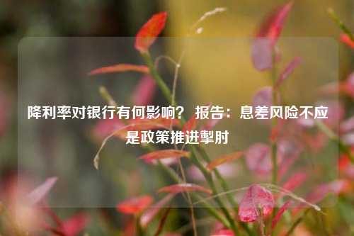 降利率对银行有何影响？ 报告：息差风险不应是政策推进掣肘