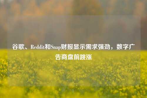 谷歌、Reddit和Snap财报显示需求强劲，数字广告商盘前跳涨