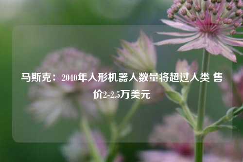 马斯克：2040年人形机器人数量将超过人类 售价2-2.5万美元