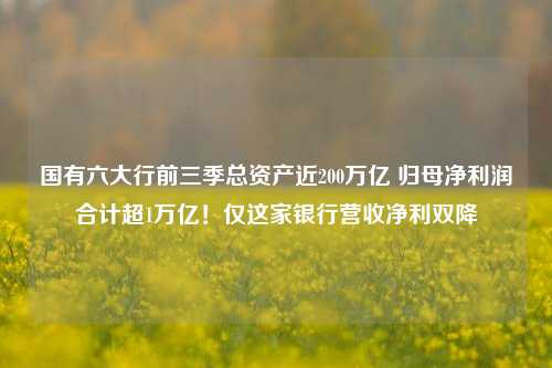 国有六大行前三季总资产近200万亿 归母净利润合计超1万亿！仅这家银行营收净利双降