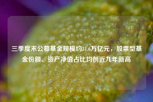 三季度末公募基金规模约31.6万亿元，股票型基金份额、资产净值占比均创近九年新高