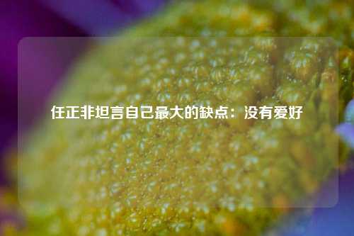 任正非坦言自己最大的缺点：没有爱好