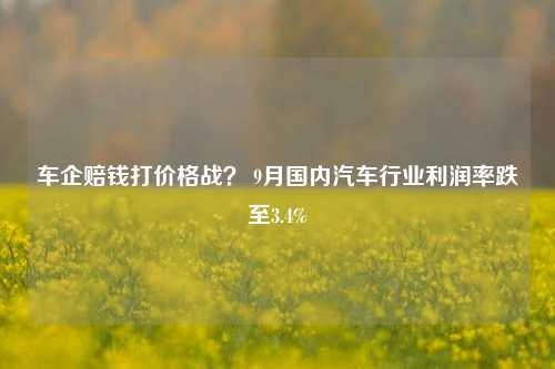 车企赔钱打价格战？ 9月国内汽车行业利润率跌至3.4%