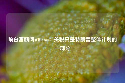 前白宫顾问Willems：关税只是特朗普整体计划的一部分