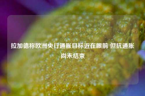 拉加德称欧洲央行通胀目标近在眼前 但抗通胀尚未结束