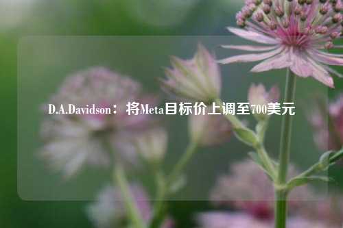 D.A.Davidson：将Meta目标价上调至700美元