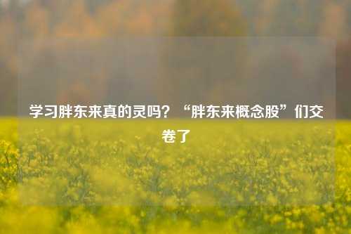 学习胖东来真的灵吗？“胖东来概念股”们交卷了