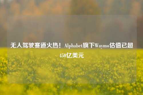 无人驾驶赛道火热！Alphabet旗下Waymo估值已超450亿美元