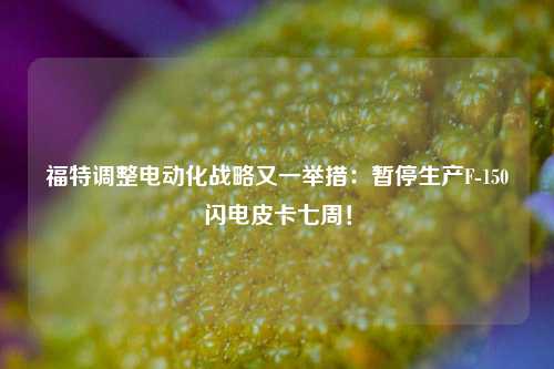 福特调整电动化战略又一举措：暂停生产F-150闪电皮卡七周！