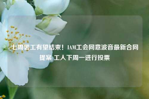 七周罢工有望结束！IAM工会同意波音最新合同提案 工人下周一进行投票