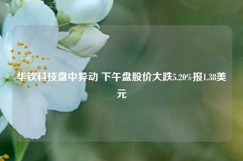 华钦科技盘中异动 下午盘股价大跌5.20%报1.38美元