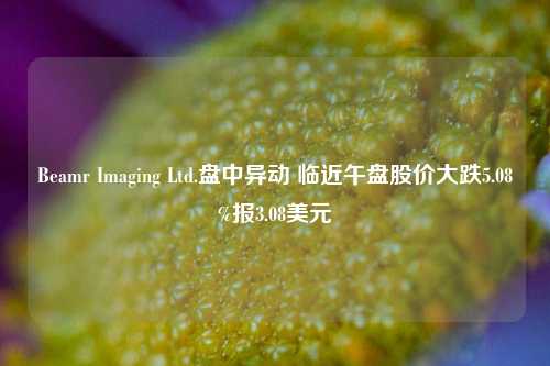 Beamr Imaging Ltd.盘中异动 临近午盘股价大跌5.08%报3.08美元