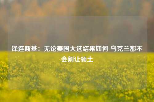 泽连斯基：无论美国大选结果如何 乌克兰都不会割让领土