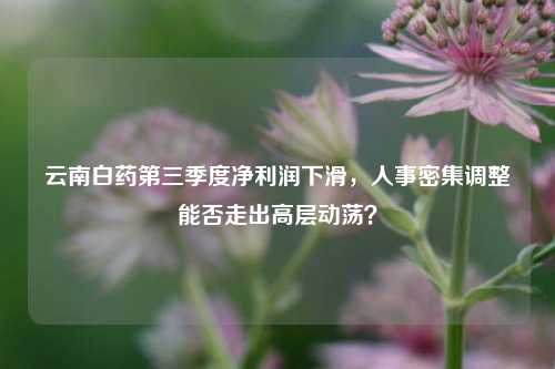 云南白药第三季度净利润下滑，人事密集调整能否走出高层动荡？