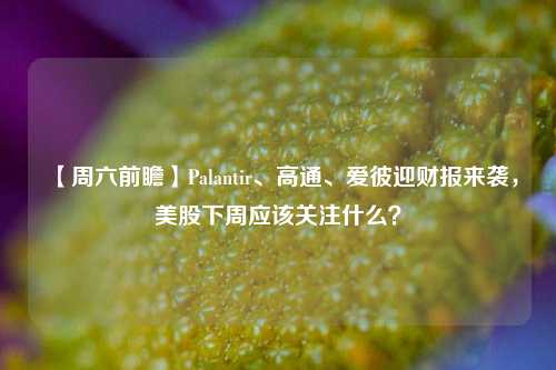 【周六前瞻】Palantir、高通、爱彼迎财报来袭，美股下周应该关注什么？