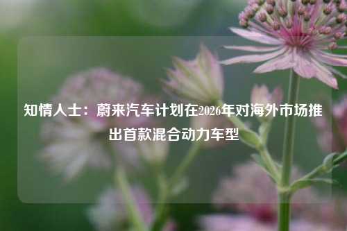 知情人士：蔚来汽车计划在2026年对海外市场推出首款混合动力车型