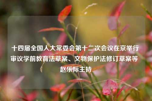 十四届全国人大常委会第十二次会议在京举行 审议学前教育法草案、文物保护法修订草案等  赵乐际主持