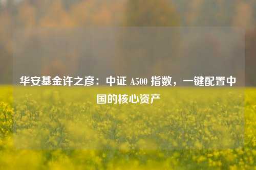 华安基金许之彦：中证 A500 指数，一键配置中国的核心资产