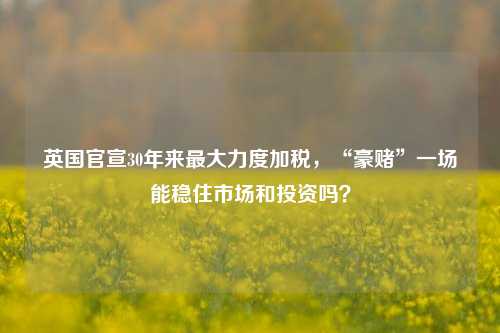 英国官宣30年来最大力度加税，“豪赌”一场能稳住市场和投资吗？