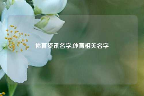 体育资讯名字,体育相关名字