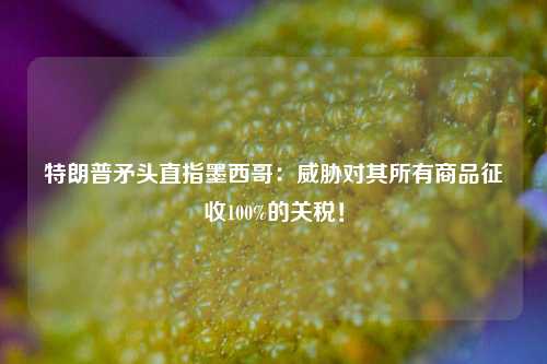 特朗普矛头直指墨西哥：威胁对其所有商品征收100%的关税！