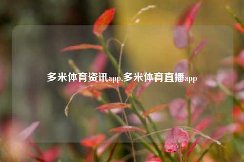 多米体育资讯app,多米体育直播app