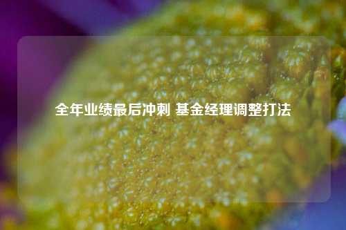 全年业绩最后冲刺 基金经理调整打法