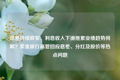 息差持续收窄、利息收入下滑拖累业绩趋势何解？紫金银行高管回应息差、分红及股价等热点问题