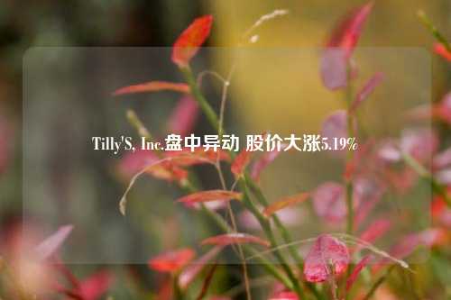 Tilly'S, Inc.盘中异动 股价大涨5.19%