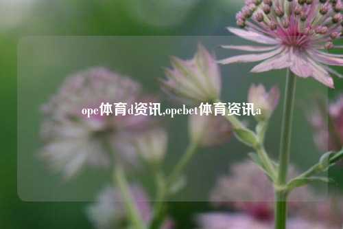 ope体育d资讯,opebet体育资讯a