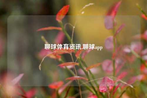 聊球体育资讯,聊球app