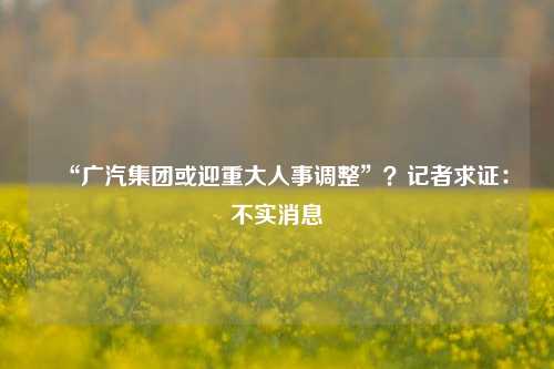 “广汽集团或迎重大人事调整”？记者求证：不实消息