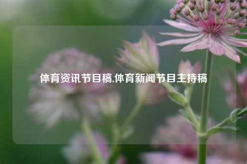 体育资讯节目稿,体育新闻节目主持稿